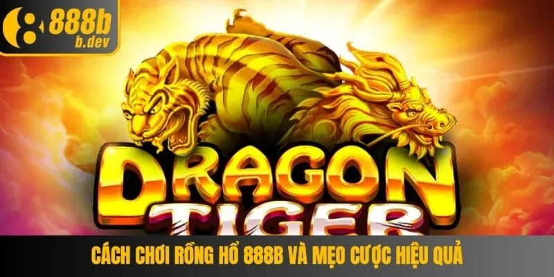 Cách Chơi Rồng Hổ