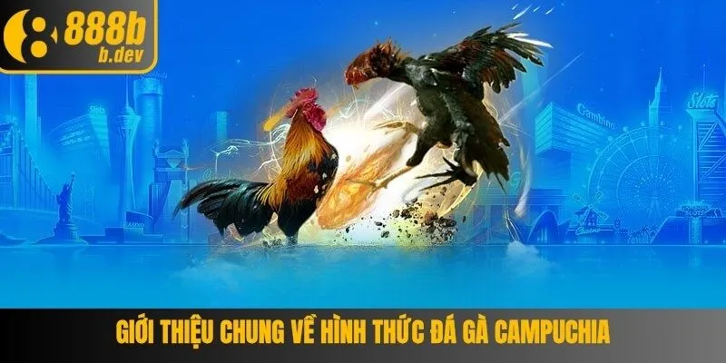 Đá gà Campuchia - Cập Nhật Mới Nhất Tại 888B 5 Lựa chọn tỷ lệ cược để vào tiền cược
