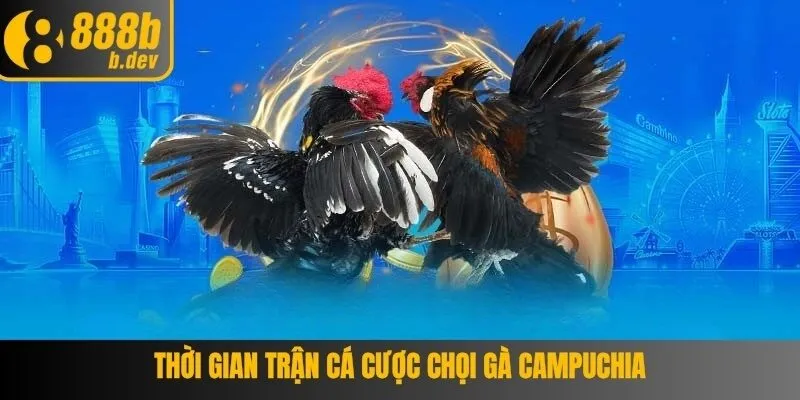 Đá gà Campuchia - Cập Nhật Mới Nhất Tại 888B 3 Trận đấu đá gà Campuchia siêu nghẹt thở