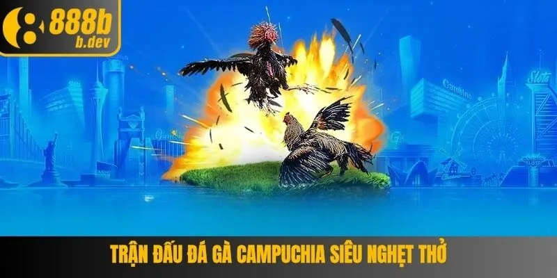 Đá gà Campuchia - Cập Nhật Mới Nhất Tại 888B 2 Giới thiệu chung về hình thức chơi đấu đá gà Campuchia